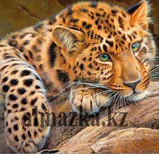 MKAZ007 Набор алмазный «Леопард»