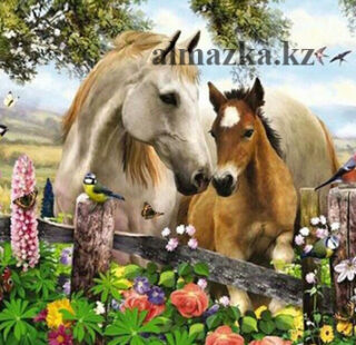 MKAZ26 Набор алмазный «Лошадь с жеребенком»