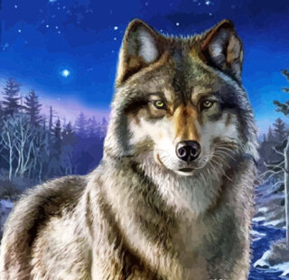 MKAZ040 Набор алмазный «Волк»