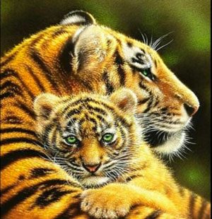 MKAZ659 Набор алмазный «Мама тигрица с тигренком»