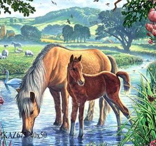 MKAZ673 Набор алмазный «Лошади на водопое»
