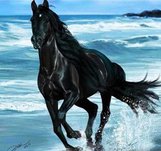MKAZ692 Набор алмазный «Вороной конь»
