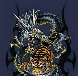 MKAZ871 Набор алмазный «Тигр и дракон»