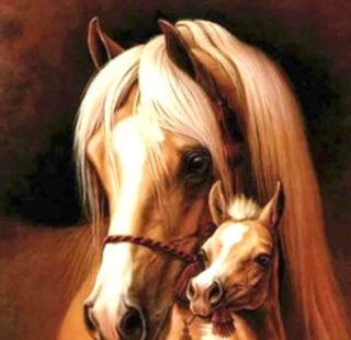 MKAZ889 Набор алмазный «Лошадь с жеребенком»