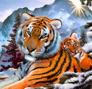 MKAZ893 Набор алмазный «Тигрица с тигренком»